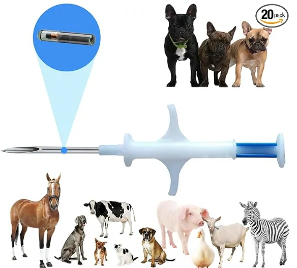 Veterinarian scanning a 15 digit ISO microchip required for China pet import