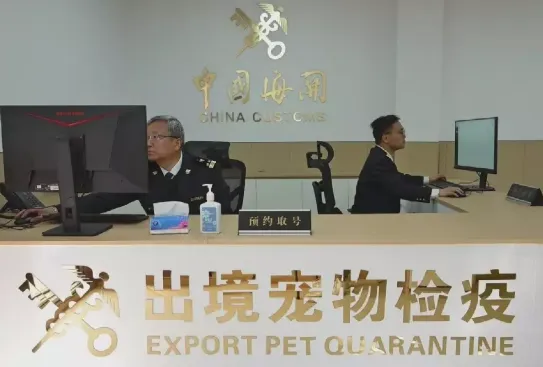 China Customs animal and plant quarantine inspection desk at Shanghai PVG